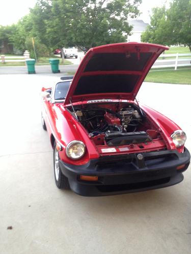 OmegaLettuce Brayden P