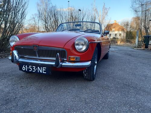 dutchbert Bert Palte