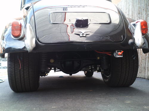 Morris the BullDog Terry L